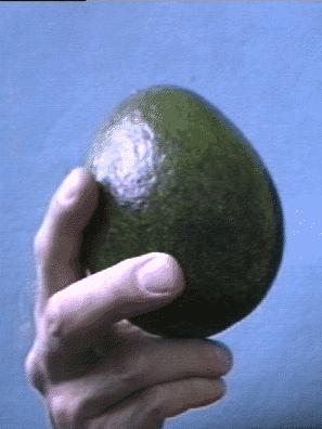 Avocado