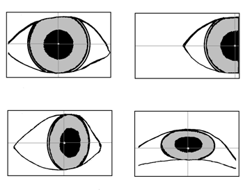 Views of pupil, with corneal reflection