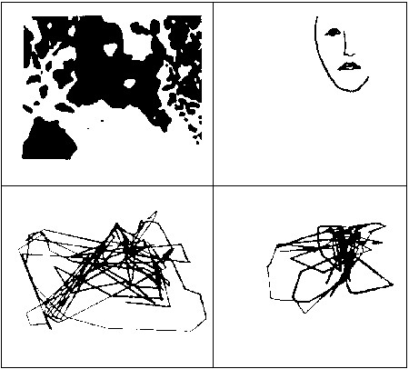 Eye movements viewing an ambiguous figure
