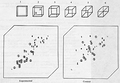 Fixations when viewing a Necker cube