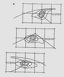 Eye movements in curve negotiation