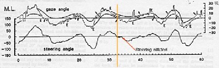 Eye movements precede physical movements