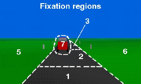 Fixation regions