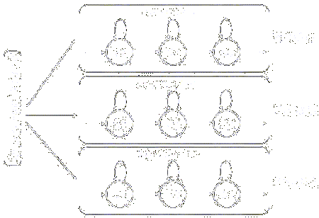 Multiple dynamic model approach